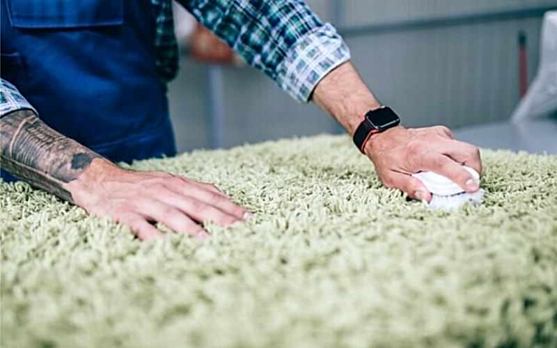 Ev Hijyeninde Hal� Temizli�inin �nemi  Trabzon Hal� Y�kama Rehberi